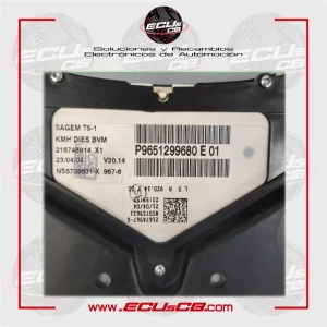 Cuadro Peugeot 307 216748814X1 P9651299680E01 Cuadro Peugeot 307 216748814X1 3
