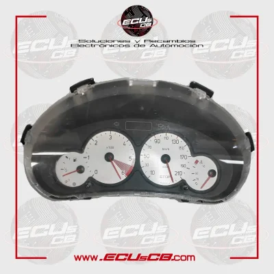 Cuadro Peugeot 206 9655976280 000500807