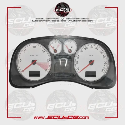 Cuadro Peugeot 307 281122035 P9655925880B02