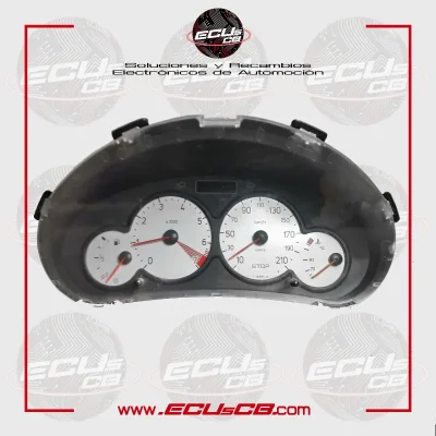 Cuadro Peugeot 206 000500610 9656696380
