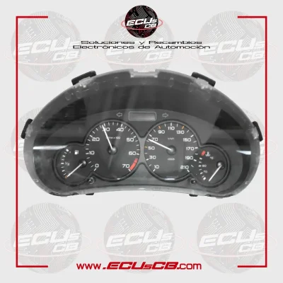 Cuadro Peugeot 206 000640002 9645096180