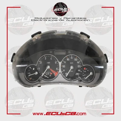 Cuadro Peugeot 206 503000643003 9645847180