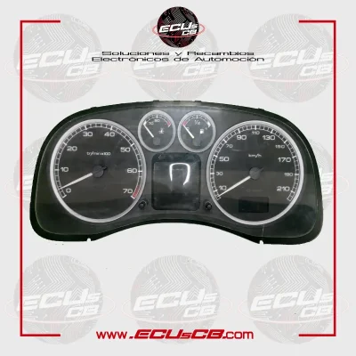 Cuadro Peugeot 307 216698150X2 P9645768480E01
