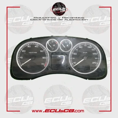 Cuadro Peugeot 307 216747755 P9647538280A01 - 1